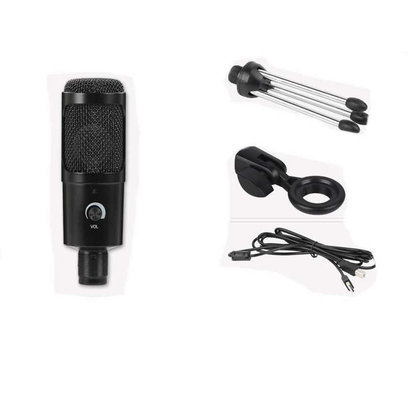 Microphone for Live Recording