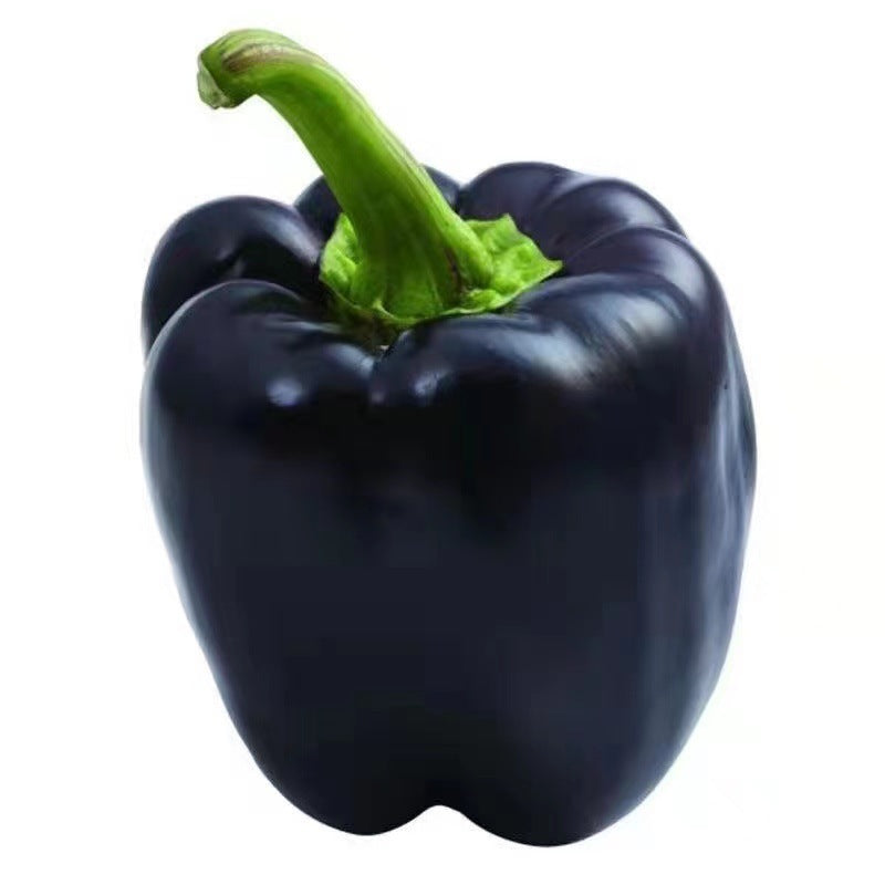 Purple Sweet Pepper Seeds Pimento Big Pepper High-yield Seeds
