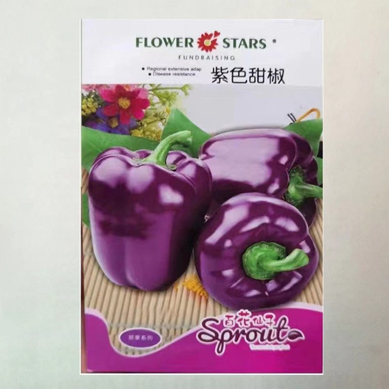 Purple Sweet Pepper Seeds Pimento Big Pepper High-yield Seeds