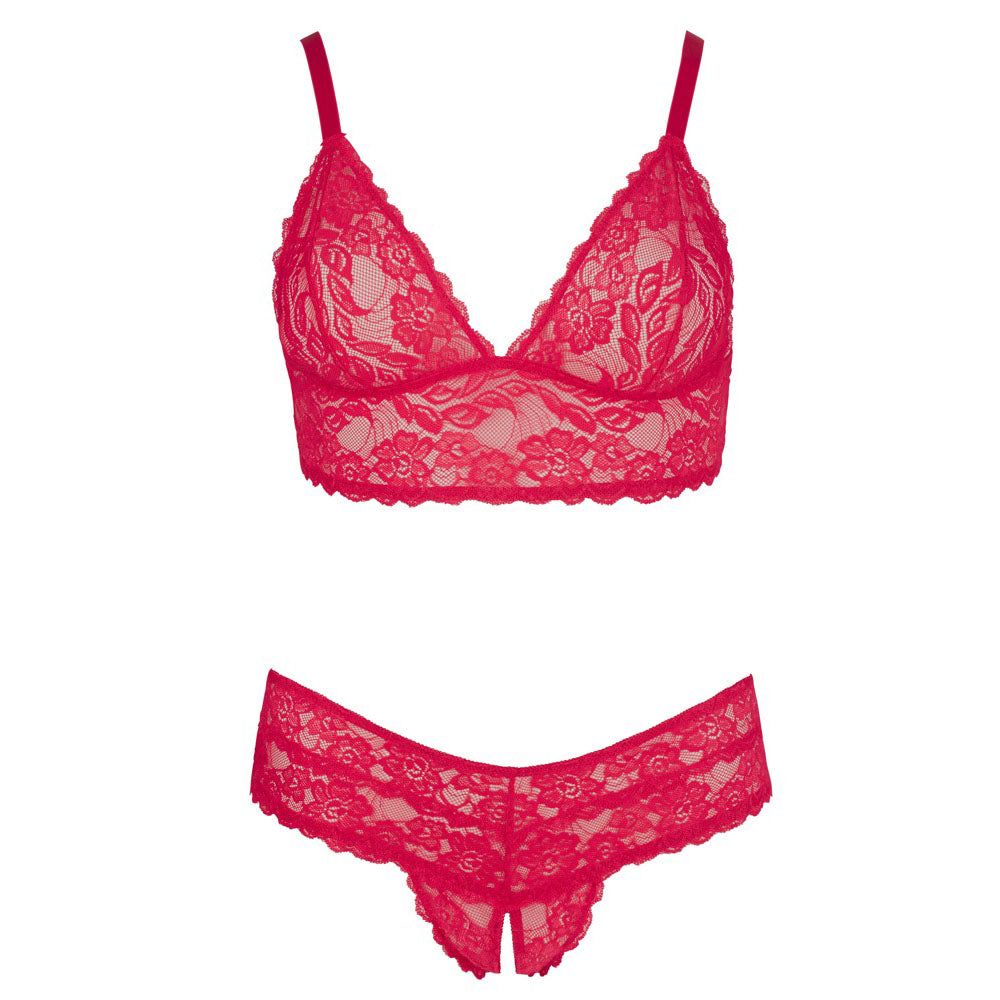 Cottelli Plus Size Red Lace Bra And Briefs Size: XXXXL