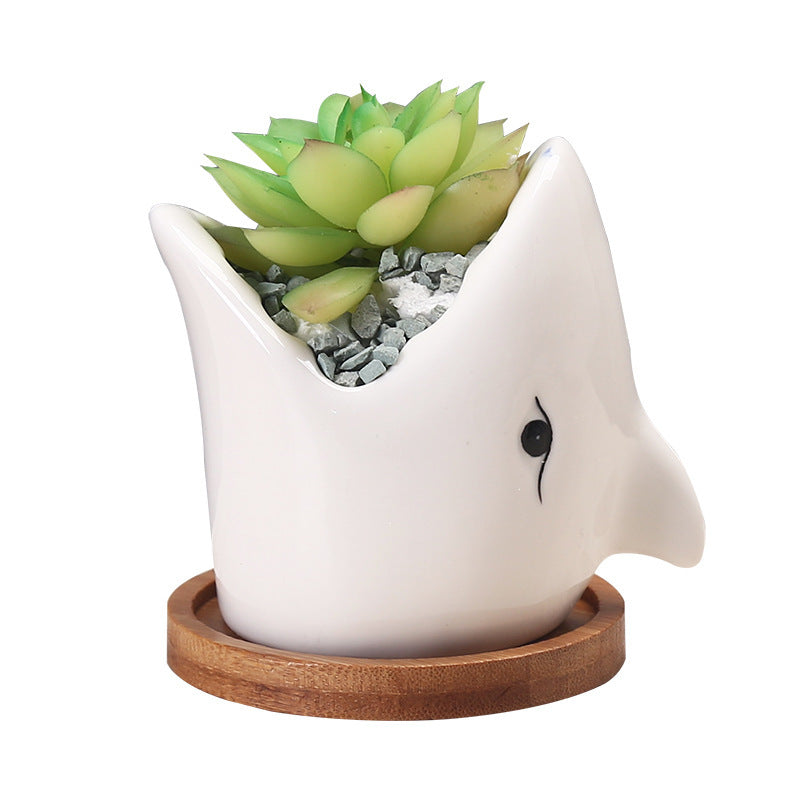 Creative Cartoon Ceramic Flower Succulent Pots Indoor